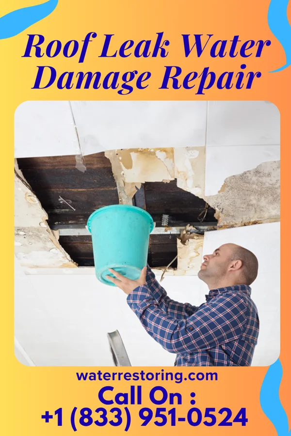 Roof Leak Water Damage Repair in Yardville, NJ