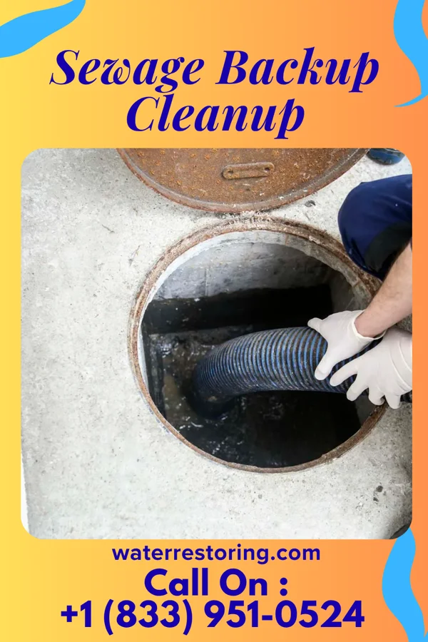 Sewage Backup Cleanup in Yardville, NJ