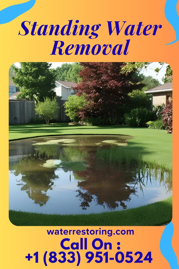 Standing Water Removal in Yardville, NJ